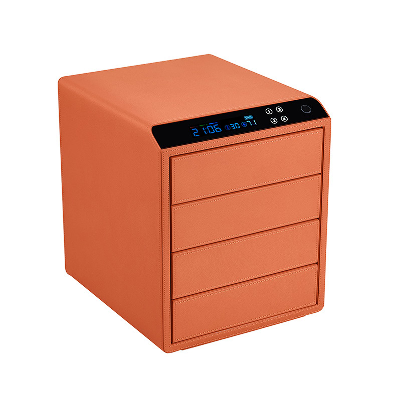 Smart Popular Jewelry Box Leat - đánh giá và giá Smart Watch